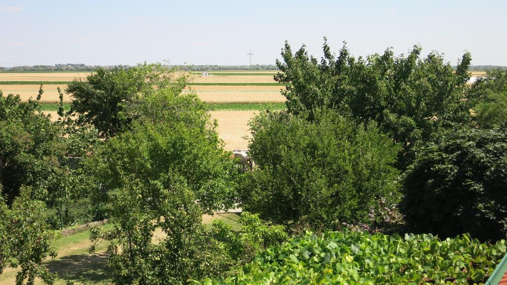 Bar Pension Lang Sankt Andra am Zicksee Bagian luar foto